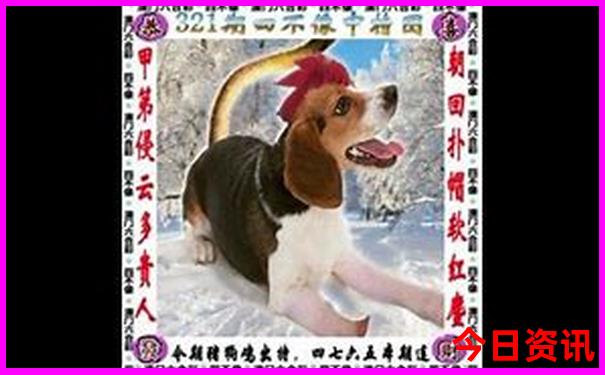 2025新澳今晚开奖号码是多少